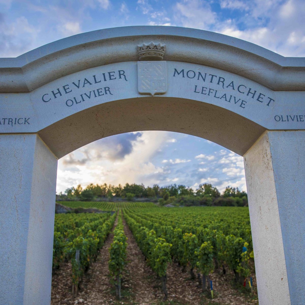 0027-chevaliers-montrachet---aibanez---23092019-2458-scaled-aspect-ratio-580-580