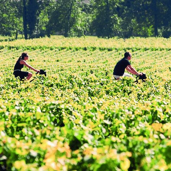 traversee-du-vignoble-bourgogne-velo-aspect-ratio-580-580